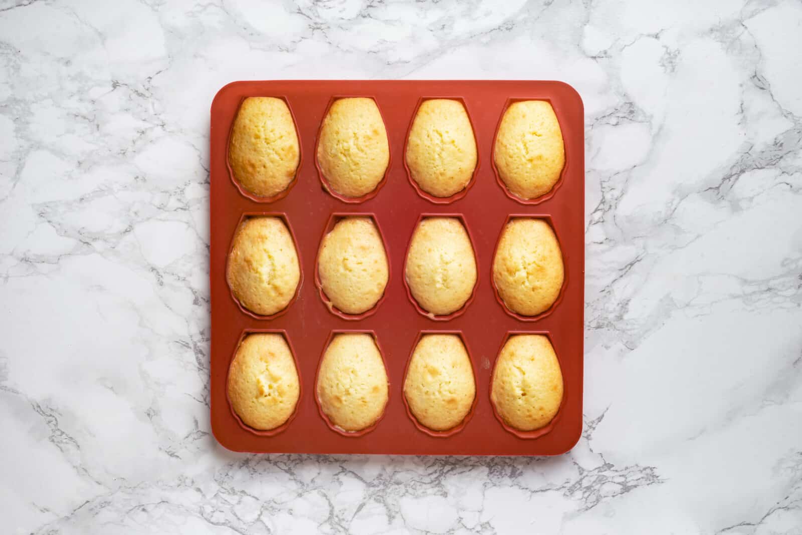 Baked madeleines fresh out of the oven.