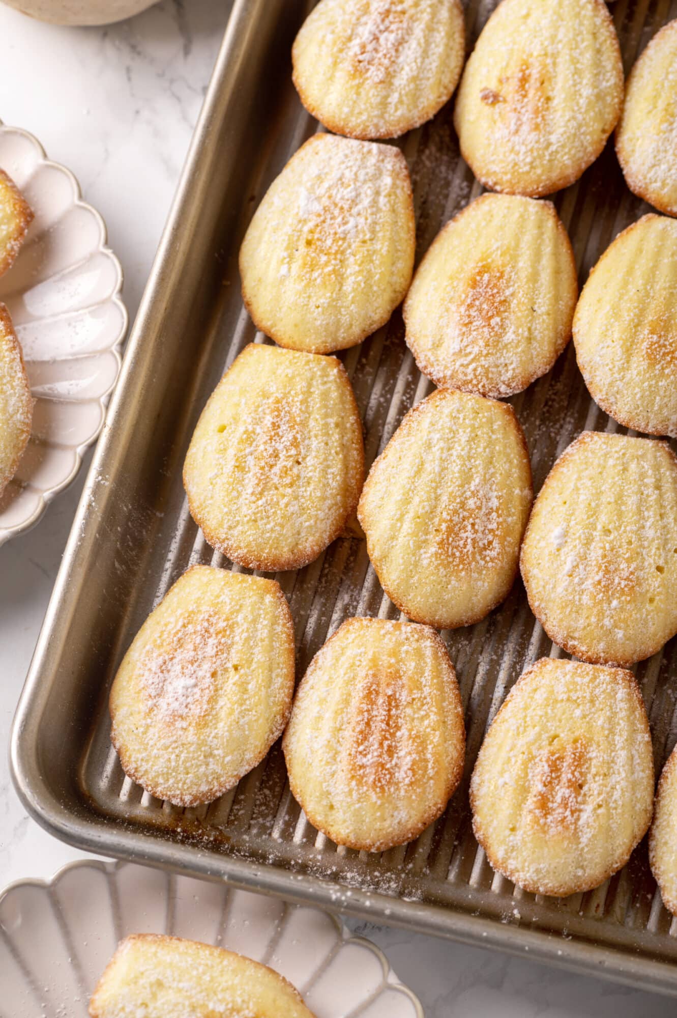 Baked madeleines on a baking sheet dusted in powdered sugar.