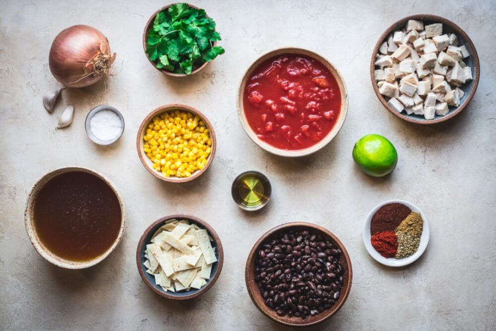 chicken-soup-ingredients-chicken-beans-corn-onio-garlic-salt-spices-lime-oilve-oil-tortillas-cilantro-tomatoes-chicken-broth