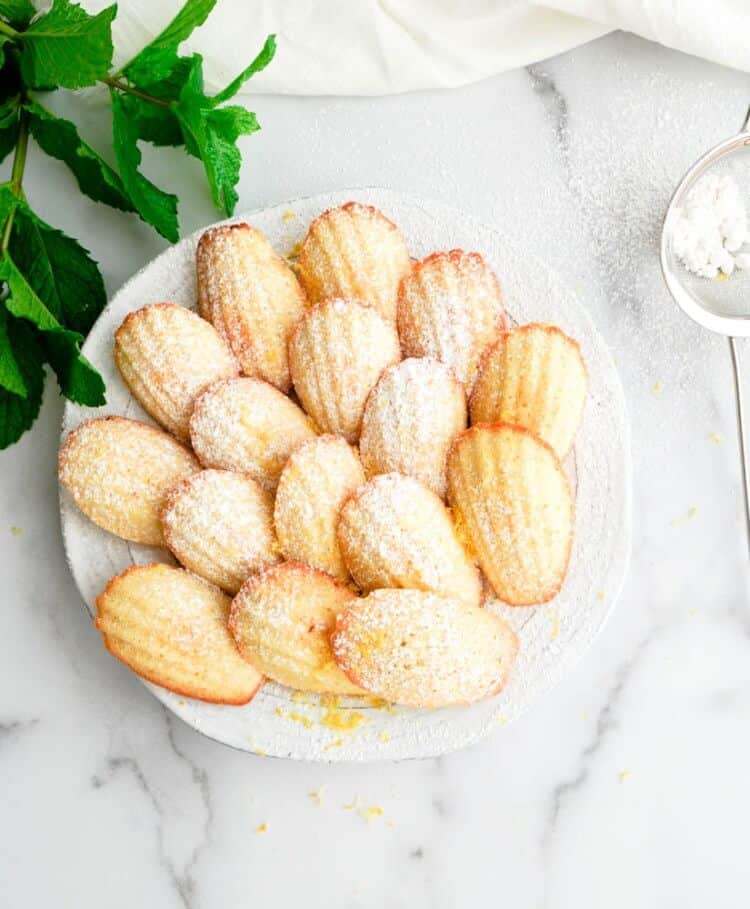 madeline-cookies-dusted-with-powdered-sugar-on-a-white-plate