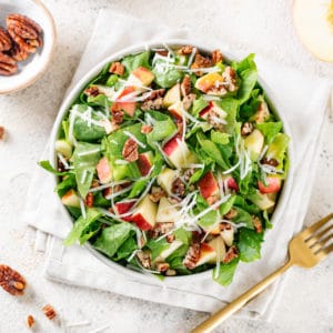 apple-salad-in-a-white-bowl-on-a-towel-with-a-fork