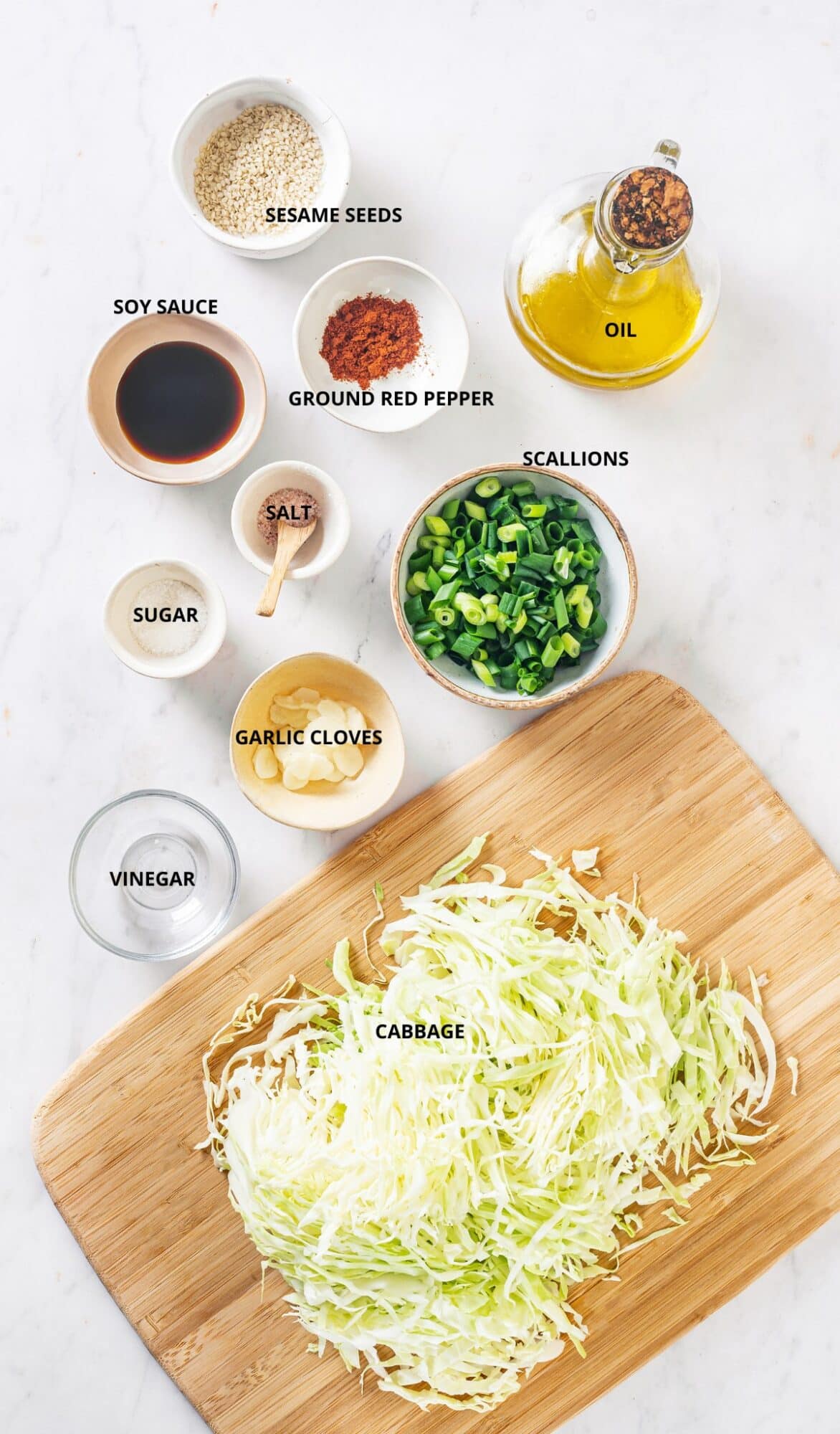 shredded green cabbage on wooden board, chopped green scallions, olive oil, soy sauce, sugar, sliced garlic cloves, vinegar, powdered red pepper in individual containers. 