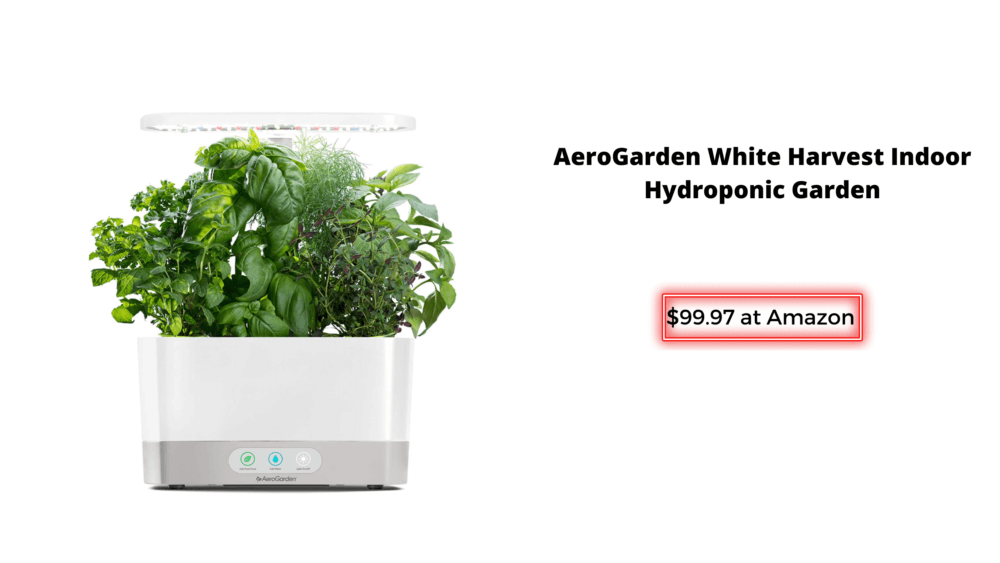 home-hydroponic-herb-garden