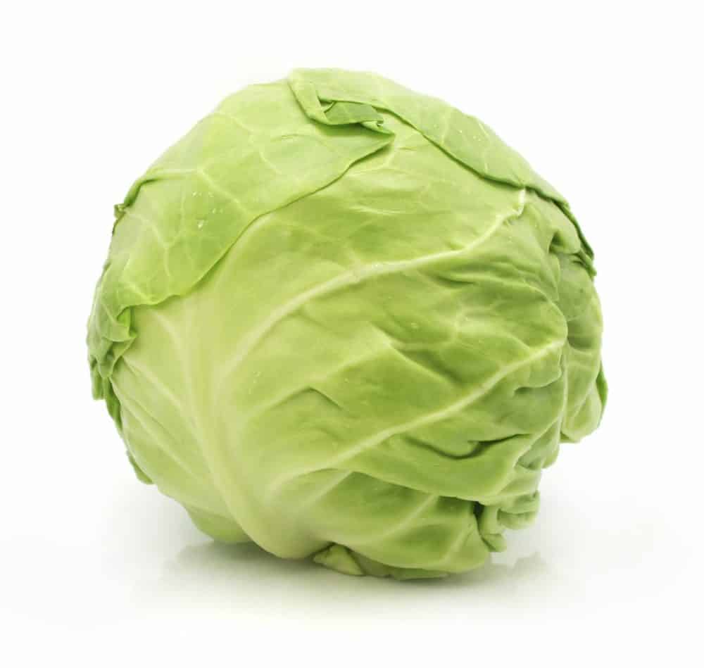 ingredients: green cabbage