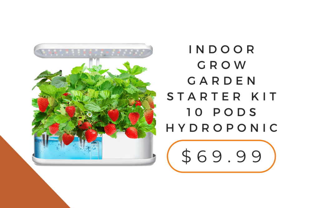 garden starter kit indoor gift guide.